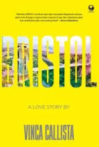 Image of Bristol : A Love Story by vinca callista
